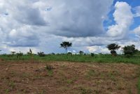 10 Acres Of Land For Sale In Kabunyata Luwero At 9m Per Acre