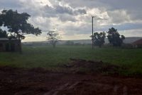 25 Acres Of Land For Sale In Nakaseke After Kiwoko Town At 27m Per Acre