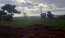 25 Acres Of Land For Sale In Nakaseke After Kiwoko Town At 27m Per Acre