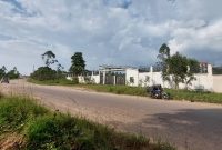 100x100ft Plot Of Land For Sale In Kira Nsasa At 180m Shillings