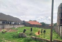 50x100ft Plot Of Land For Sale In Naalya - Kimbejja At 110m Shillings