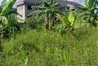 41 Decimals Plot Of Land For Sale In Namugongo Sonde At 200m Shillings
