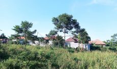 50x100ft Plot Of Land For Sale In Namugongo Kiwango - Kagala Estate At 30m Shillings