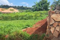 12 Decimals Plot Of Land For Sale In Jomayi Estate Kawuku-Ziru At 55m