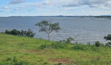 10 Acres Lake Front Land For Sale In Kigo At 600m Per Acre