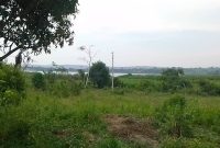 50 acres of Land With Lake Victoria shores Buwooya Buikwe at 35m per acre