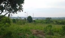 50 acres of Land With Lake Victoria shores Buwooya Buikwe at 35m per acre