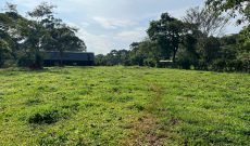 50x100ft Plots Of Land For Sale In Mpigi At 20m Shillings Each