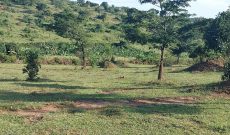 126 Acres Farm For Sale In Ntusi Sembabule District With Dam At 17.5m Per Acre
