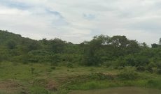 50x100ft Plot Of Land For Sale In Misindye Sonde At 48m
