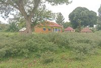 87 Acre Farm With Farmhouses For Sale In Kiboga Bukomero Town Council At 17m Per Acre