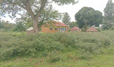 87 Acre Farm With Farmhouses For Sale In Kiboga Bukomero Town Council At 17m Per Acre
