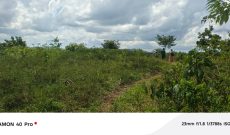 4 Acres Of Land For Sale In Namayumba Mukono At 80m Per Acre
