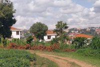 14 Decimals Plot Of Land For Sale In Kira Nsasa At 120m Shillings