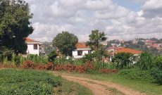 14 Decimals Plot Of Land For Sale In Kira Nsasa At 120m Shillings