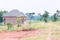 2 Plots Of 50x100ft For Sale In Namugongo Kiwango At 30m Per Plot