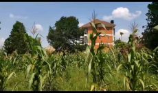 1 Acre Of Land For Sale In Kira Kitukutwe At 520m Shillings