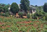 2 Acres Of Land For Sale In Buswa Ssisa Entebbe Road All At 370m