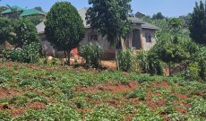 2 Acres Of Land For Sale In Buswa Ssisa Entebbe Road All At 370m