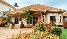 4 Bedrooms House For Sale In Mamerito Road Kira On 20 Decimals At 600m