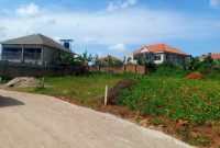 14 Decimals Plot Of Land For Sale In Kira Nsasa At 110m Shillings