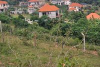 50x100ft Plot Of Hill View Land For Sale In Kitende Kitovu Entebbe Road At 38m