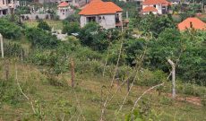 50x100ft Plot Of Hill View Land For Sale In Kitende Kitovu Entebbe Road At 38m