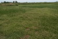 27 Acres Of Lakefront Land For Sale In Buwama Bunjako At 40m Per Acre