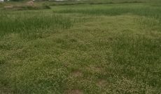 27 Acres Of Lakefront Land For Sale In Buwama Bunjako At 40m Per Acre