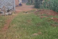 2 Plots Of 33x43ft For Sale In Kajjansi Entebbe Road At 26m Each
