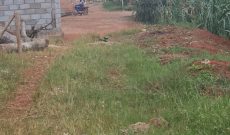 2 Plots Of 33x43ft For Sale In Kajjansi Entebbe Road At 26m Each
