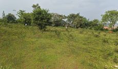 Plots Of 50x100ft For Sale In Namugongo Sonde At 65m Per Plot