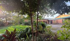 25 Decimals Plot Of Land For Sale In Bunga Ggaba Road At 750m Shillings