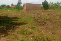 50x100ft Plot Of Land For Sale In Matugga Sanga Nkoma At 22m Shillings