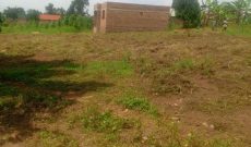 50x100ft Plot Of Land For Sale In Matugga Sanga Nkoma At 22m Shillings