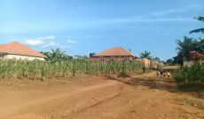 80x100ft Plot Of Land For Sale In Seeta Bajjo Canaan Estate At 90m Shillings
