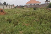 14 Decimals Plot Of Land For Sale In Kira Nakwero At 55m Shillings