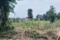 4 Plots Of 50x100ft Of Land For Sale In Namugongo Sonde At 65m