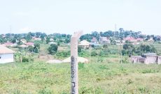 8 Plots Of 50x100ft Of Land For Sale In Namugongo Kiwango Estate At 60m Each