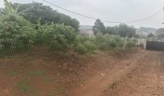23 Decimals Plot Of Land For Sale In Kira Nsasa At 140m