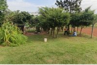 13 Decimals Plot Of Land For Sale In Mbalwa Agenda At 90m Shillings