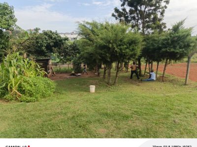 13 Decimals Plot Of Land For Sale In Mbalwa Agenda At 90m Shillings