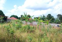 50x100ft Plot Of Land For Sale In Namugongo Sonde At 65m Shillings