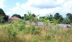 50x100ft Plot Of Land For Sale In Namugongo Sonde At 65m Shillings