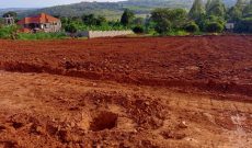 50x100ft Plot Of Land For Sale In Ssisa Entebbe Road At 42m Shillings