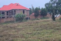 Plots Of Land For Sale In Ssisa Lutaba Entebbe Road At 65m Shillings