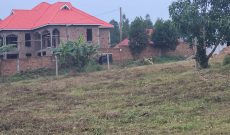 Plots Of Land For Sale In Ssisa Lutaba Entebbe Road At 65m Shillings