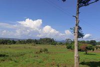 50 Acres Of Lake Shore Land For Sale In Bwerenga Kawuku Entebbe Road At 300m Per Acre