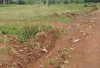 55 Decimals Plot Of Land For Sale In Bukasa Bugiri Bwerenga Road At 240m