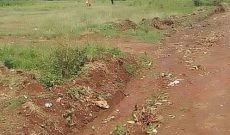 55 Decimals Plot Of Land For Sale In Bukasa Bugiri Bwerenga Road At 240m